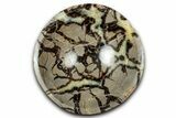 Eye-Eatching, Polished Septarian Dish - Madagascar #350228-1